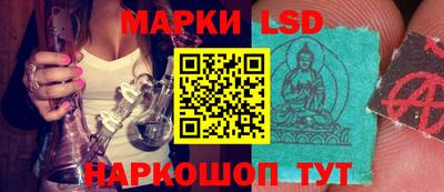 крисы Аргун